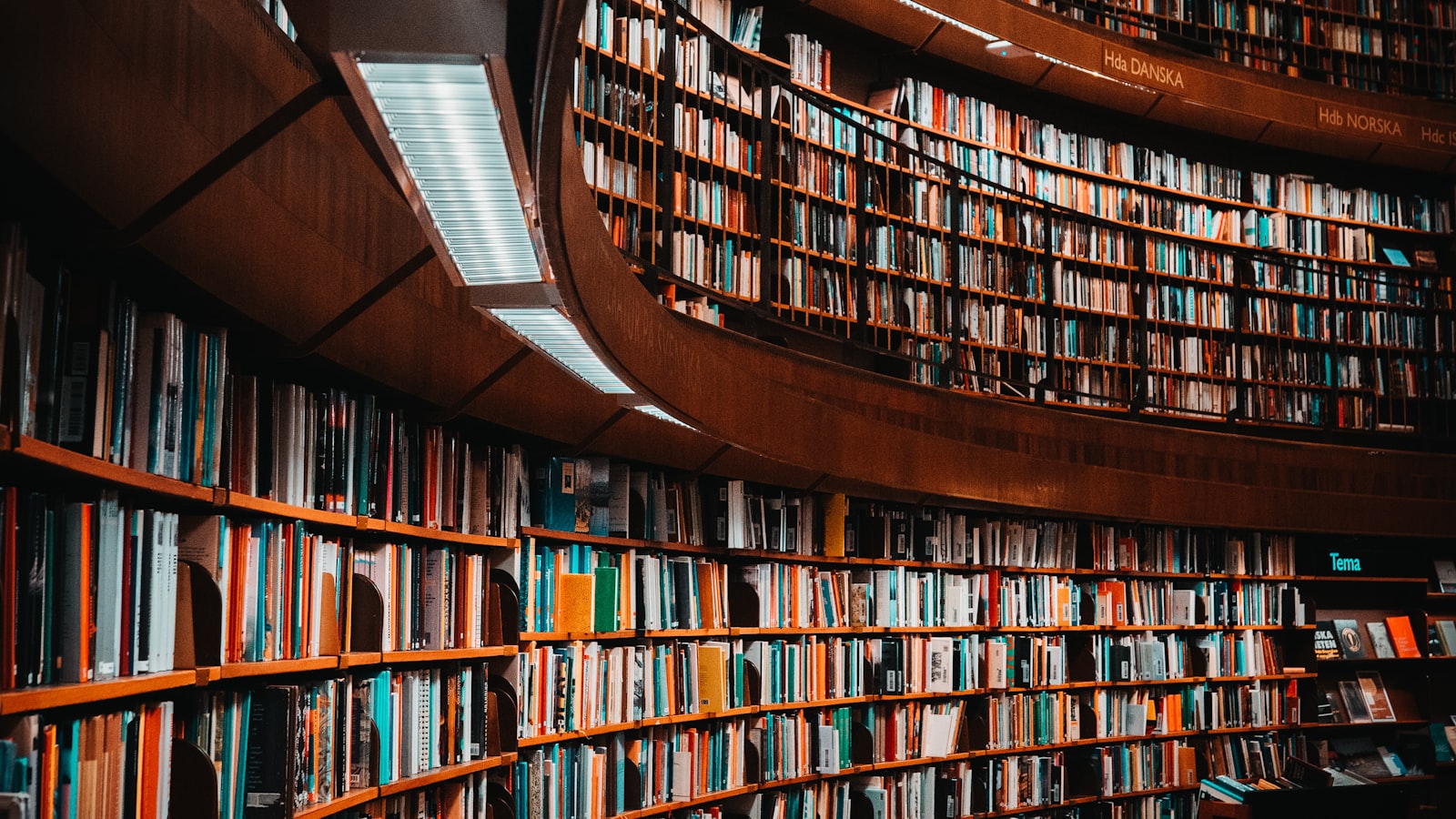 Curving library bookshelves filled with books